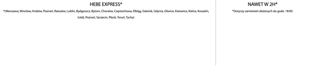Dostawa tego samego dnia